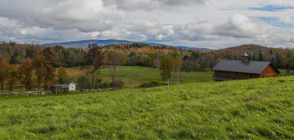 Experience New Spring Farm in Peru, VT | Retreat Space for Personal Growth